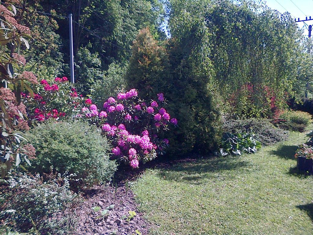 Penzion Beskyd Dolní Bečva Exterior foto